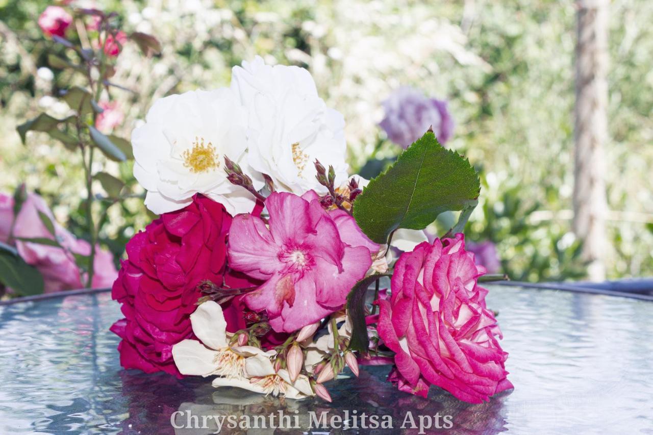 Chrysanthi Melitsa Apts. Sidárion Exterior foto